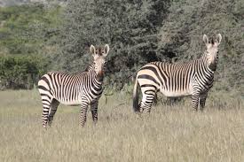 Gonarezhou National Park